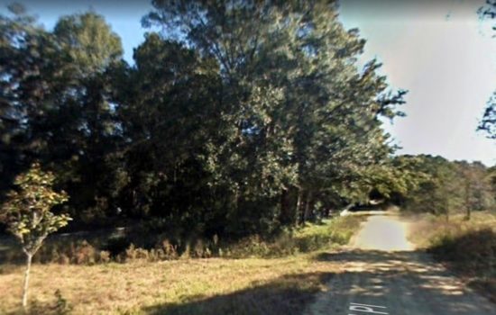 Huge 3/4 acre lot in Rainbow Park, Ocala in Central Florida