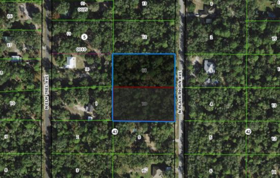 Over 1 acre in beautiful northern Citrus County, near waterways and Gulf!