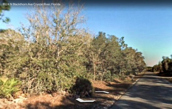 Another beautiful and large property near water and Gulf! 1.16 acres